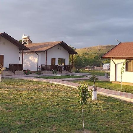 Zander House Pecineaga Dış mekan fotoğraf