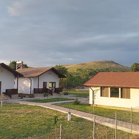 Zander House Pecineaga Dış mekan fotoğraf
